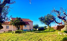 Linhal das Meias - São José das Matas